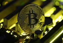 Bitcoin more likely to be worth $100 than $100,000 in a decade, says Harvard economist