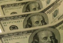 Experts call for incentivising documentation of economy