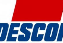 Descon to expand footprint into South Africa, will acquire small plant for $10 million
