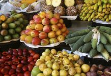 Food commodities worth $1.491 billion exported in five months