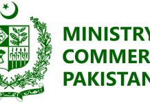 Import of used cars: MoC issues clarification