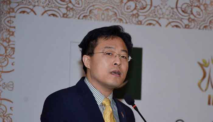 Lijian Zhao appointed focal person for ongoing power projects under CPEC