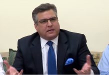 Daniyal Aziz: PSM privatisation to continue, liabilities to be settled