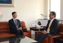 Power Division to meet with CPEC investors individually to fast-track energy projects