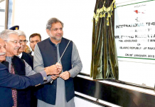 Pakistan has sufficient electricity for next 15 years: PM Abbasi