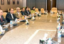 No plan yet to approach IMF again: Rana Afzal