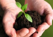 National workshop on bio-fertilisers to be held on Wednesday