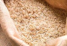 Rice exporters vow better working conditions for growers