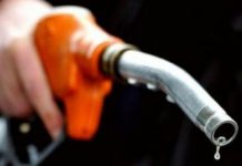 Petroleum production increases by 11.62pc