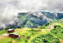 Govt gives go-ahead for establishment of jeep tracks in hilly terrains