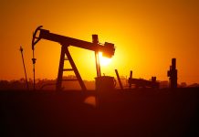 Government directs OMCs to prioritise sale of domestic petrol