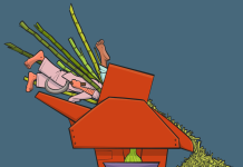 Sugar Sharks: How does the most powerful lobby in Pakistan get its way?