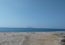 3 men show how to successfully mix business with pleasure