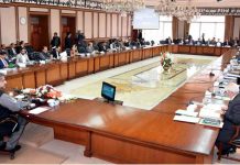 NEC meeting discusses federal development budget