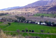 Federal govt to set up Institute of Petroleum Technology in District Karak