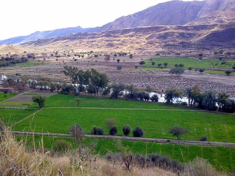 Federal govt to set up Institute of Petroleum Technology in District Karak