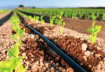 Farmers urged to install drip irrigation system