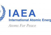 Pakistan can fortify economy through value addition in agri products: IAEA