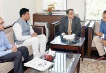 Small and medium businesses instrumental for economy: Rana Afzal