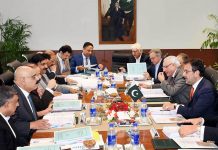 Govt ready to submit National Electric Policy to CCI in April: Leghari