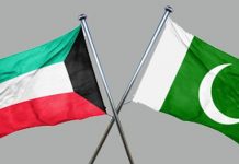 Lucrative investment opportunities for Kuwait in Pakistan: SBI Chairperson