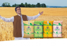 Fatima Fertiliser posts Rs10.576bn profit after tax for FY17, up 8.12pc YoY
