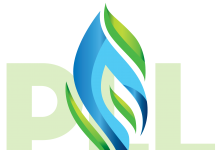 Govt contemplating merger of Pakistan LNG Limited, Pakistan LNG Terminal Ltd