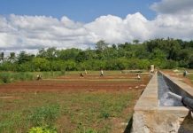 Govt, ADB sign deals worth $375mn to improve irrigation, public-private partnership in Punjab