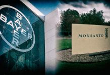 Merger of Bayer, Monsanto approved for world’s biggest agrochemical corporation