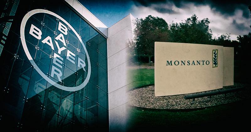 Merger of Bayer, Monsanto approved for world's biggest agrochemical corporation