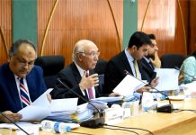 CDWP approves 31 projects worth Rs713 billion