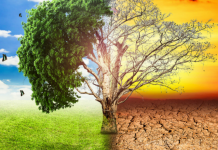 Water and climate change: the (hopefully not) insurmountable challenges