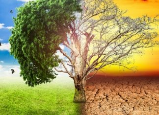 IMF urges Pakistan to raise climate weighting to 30% in PSDP project selection