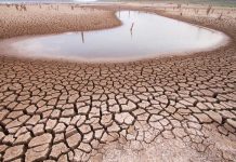 Water crisis to severely damage agro-economy, warns ICST