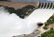 Govt mulls options to construct Diamer Bhasha dam to meet energy needs