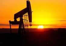 PPL discovers oil, gas in Sindh’s Kotri Block