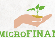 Agri credit disbursement increased to Rs972.6b