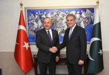 ‘FTA between Pakistan, Turkey imperative for bilateral growth’