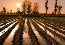 PARC-JICA sign MoU to facilitate Balochistan’s agri sector Â