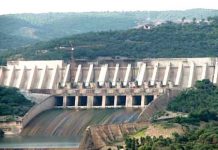 Govt urged to list Diamer-Bhasha dam in domestic, int’l stock markets