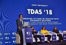 Pakistan, Egypt pledge close liaison as Cairo Summit concludes