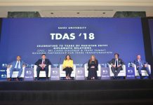 Cairo summit stresses new partnerships to benefit from CPEC