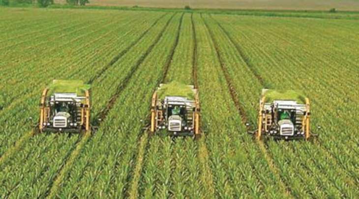 Pakistan Business Council urges declaration of agriculture emergency