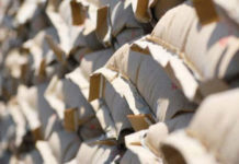 Cement export registers 18.9pc growth in Sept Â