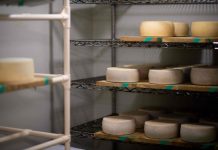 Japan cheesemakers fret over EU trade deal