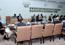 ECC defers power tariff hike, approves subsidised gas supply for export industries