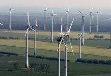 PETRA chief calls for utilising Pakistan’s renewable energy resources