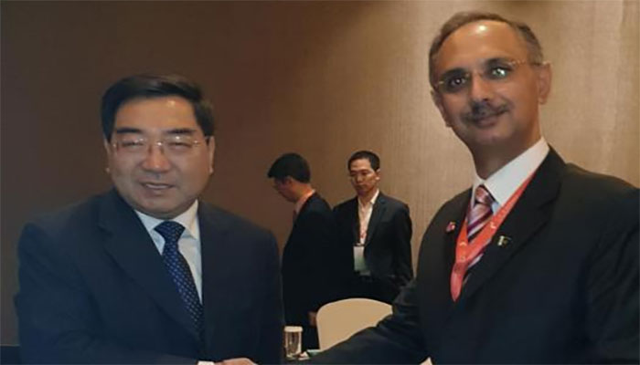 China to complement Pakistan’s efforts in reforming energy sector
