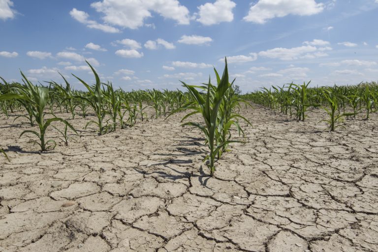 WB to help Pakistan address climate change woes WB to help Pakistan address climate change woes