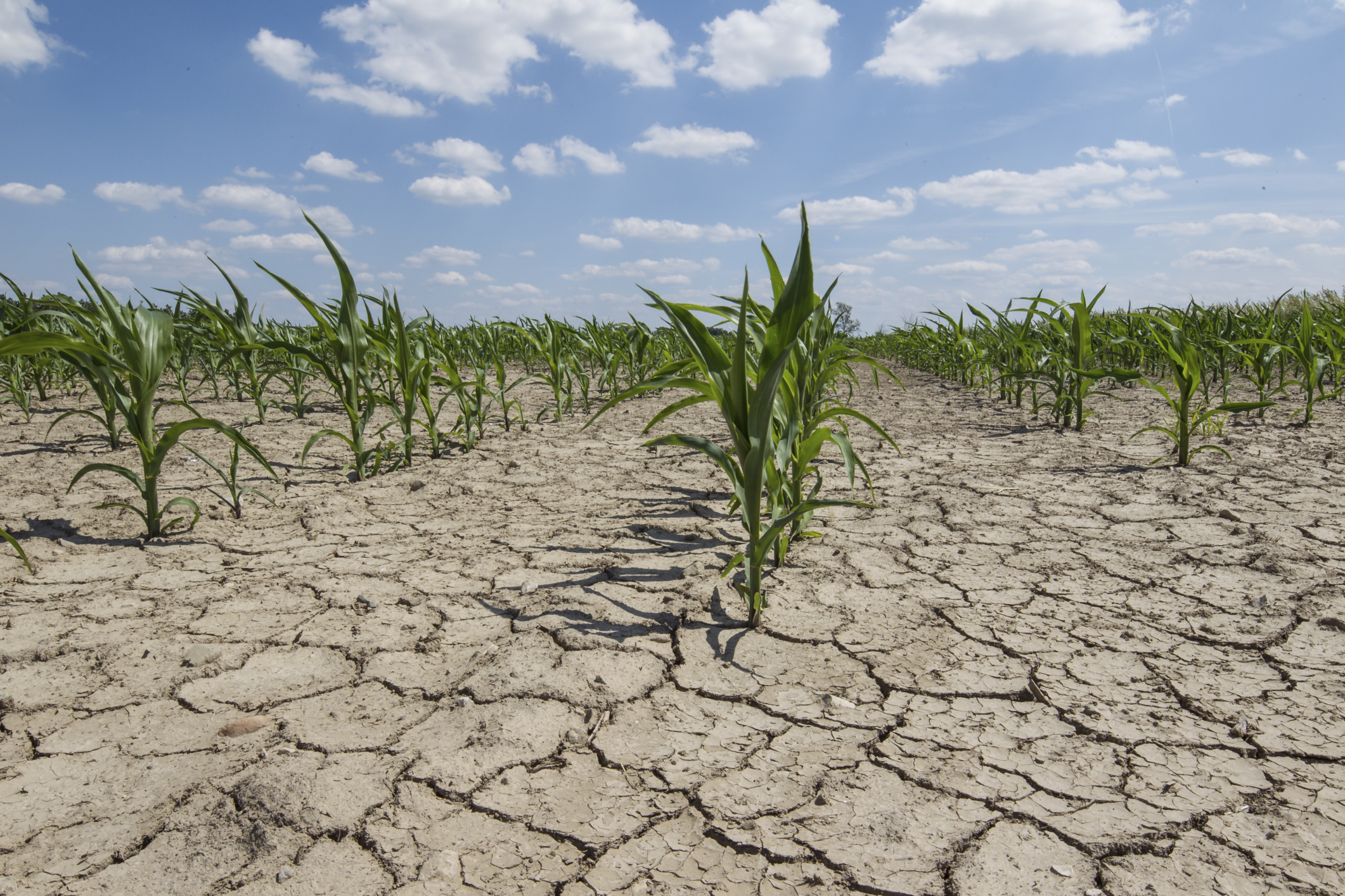 WB to help Pakistan address climate change woes